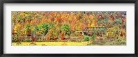 Framed Cantilever Bridge And Autumnal Trees In Forest, Central Bridge, New York State