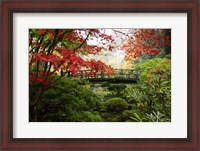 Framed Autumn Leaves On Trees And Footbridge, Japanese Garden
