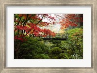 Framed Autumn Leaves On Trees And Footbridge, Japanese Garden