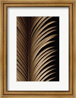 Framed Tropical Leaf Study I