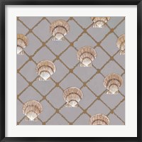 Scallop Shell Net Framed Print