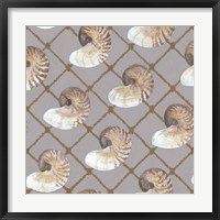 Nautilus Net Framed Print