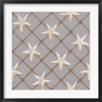 Net Full of Stars Framed Print