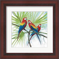 Framed Parrots