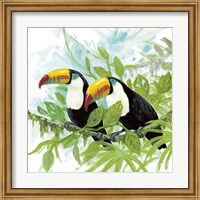 Framed Toucans