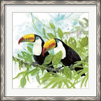 Framed Toucans