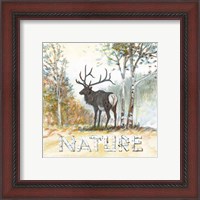 Framed 'Nature' border=