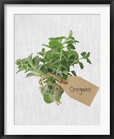 Framed Oregano