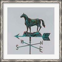 Framed Rural Relic Horse