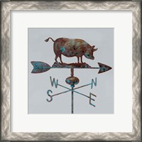 Framed 'Rural Relic Pig' border=