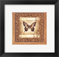 Framed Butterfly I