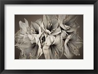 Framed Grand Floral