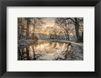 Framed Frosty Morning