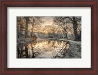 Framed Frosty Morning