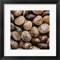 Framed Pebble Textures