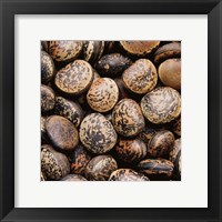 Framed Pebble Textures