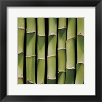 Framed Bamboo Lengths