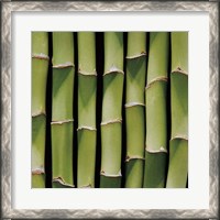 Framed Bamboo Lengths
