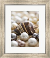 Framed Sea Jewels II