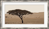 Framed Serengeti Horizons I