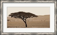 Framed Serengeti Horizons I