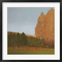 Framed Copper Grove II