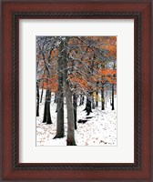 Framed SnowFall II