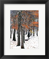 Framed SnowFall II