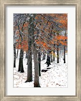 Framed SnowFall II