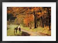 Framed Autumn's Morning Light