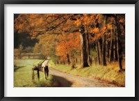 Framed Autumn's Morning Light