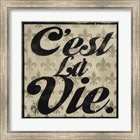 Framed C'est La Vie