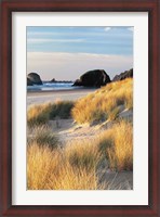 Framed Dune Grass And Beach II