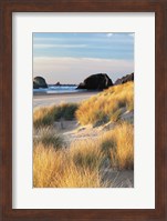 Framed Dune Grass And Beach II