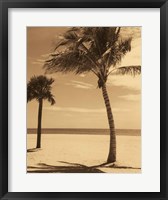 Framed Palm Beach I
