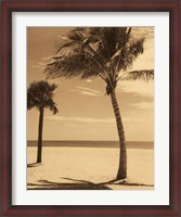 Framed Palm Beach I