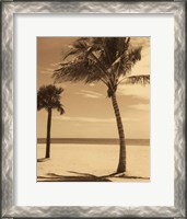 Framed Palm Beach I