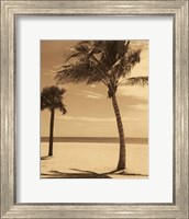 Framed Palm Beach I