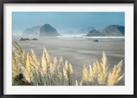 Framed Pampas Beach