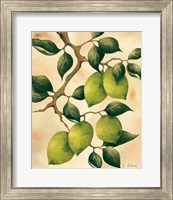 Framed Italian Harvest - Limes