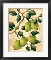 Framed Italian Harvest - Limes