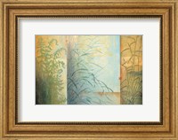 Framed Ferns & Grasses