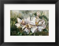 Framed Dawning Magnolias