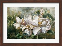 Framed Dawning Magnolias