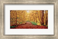 Framed Autumn Dream