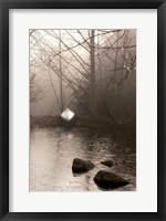 Framed Silvered Morning Pond