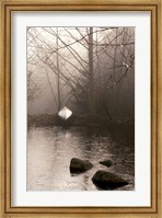 Framed Silvered Morning Pond