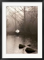 Framed Silvered Morning Pond