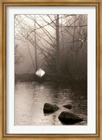 Framed Silvered Morning Pond