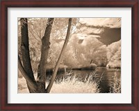 Framed Lakefront View I